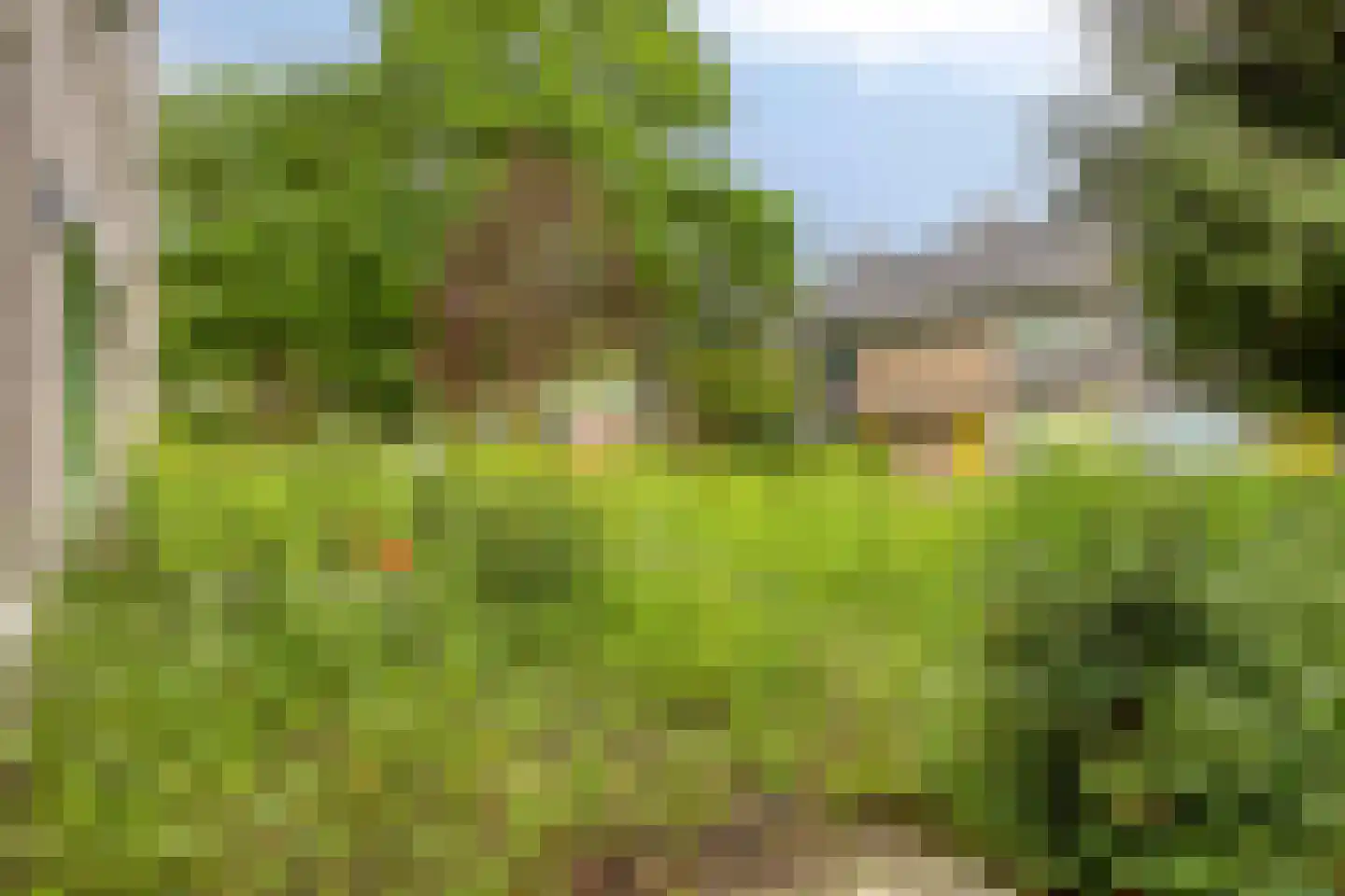 Generaal Coenderslaan 59 07 Eindhoven thumbnail 9