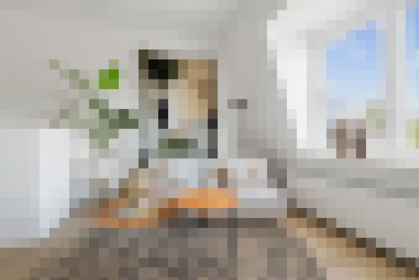Generaal Cronjéstraat 106 B Haarlem thumbnail 18