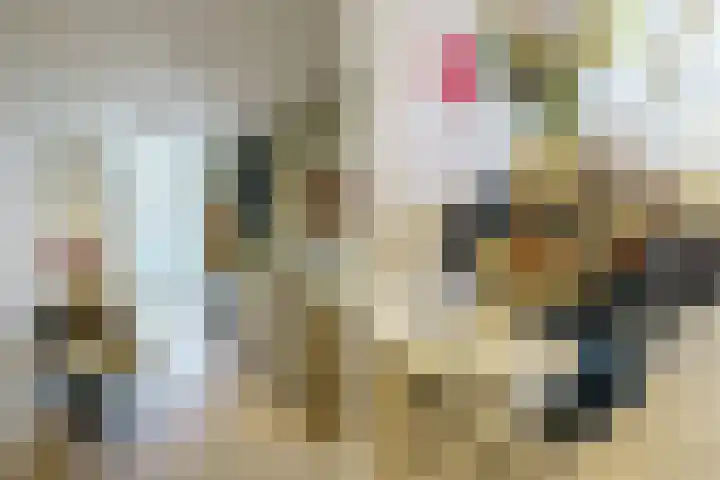 Generaal Cronjéstraat 152 Haarlem thumbnail 10