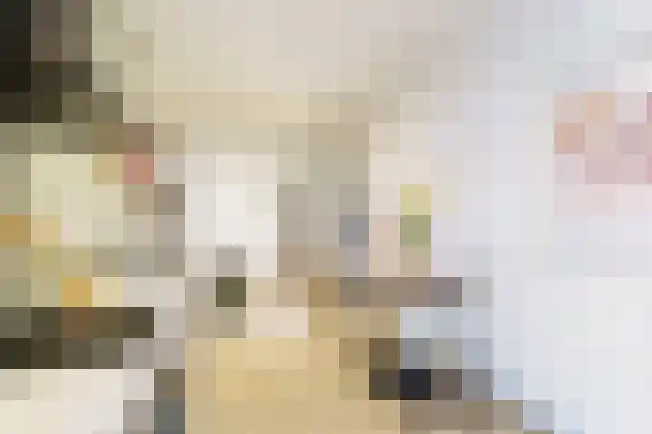 Generaal Cronjéstraat 152 Haarlem thumbnail 8
