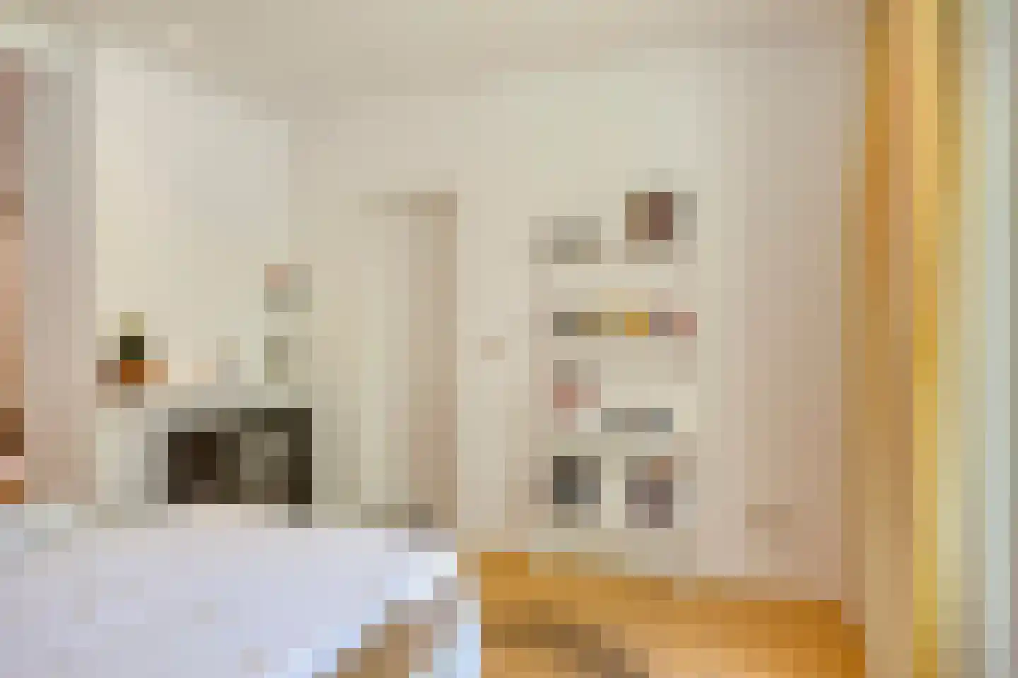 Generaal Cronjéstraat 2 Eindhoven thumbnail 10