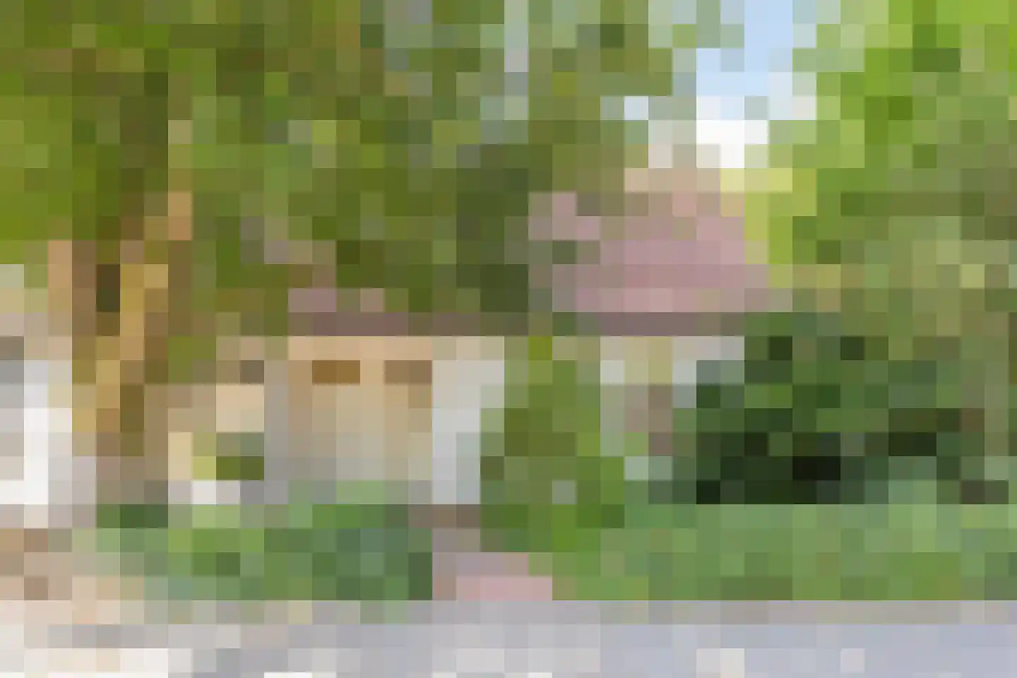 Generaal Cronjéstraat 2 Eindhoven thumbnail 36