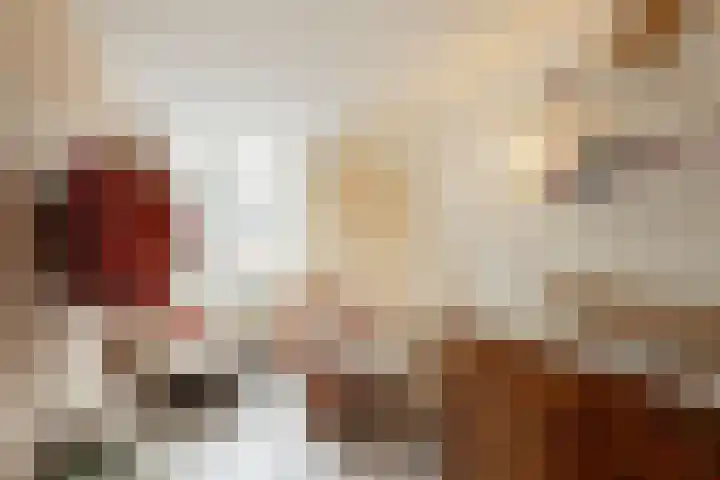 Generaal Cronjéstraat 23 A Haarlem thumbnail 25