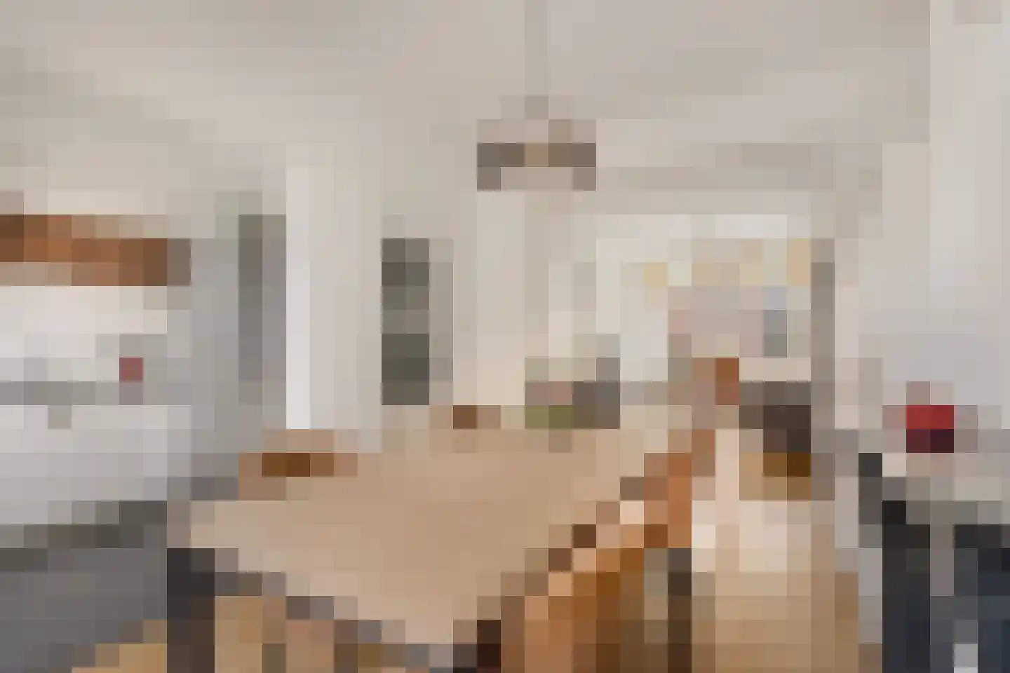 Generaal Cronjéstraat 3 A RD Haarlem thumbnail 11