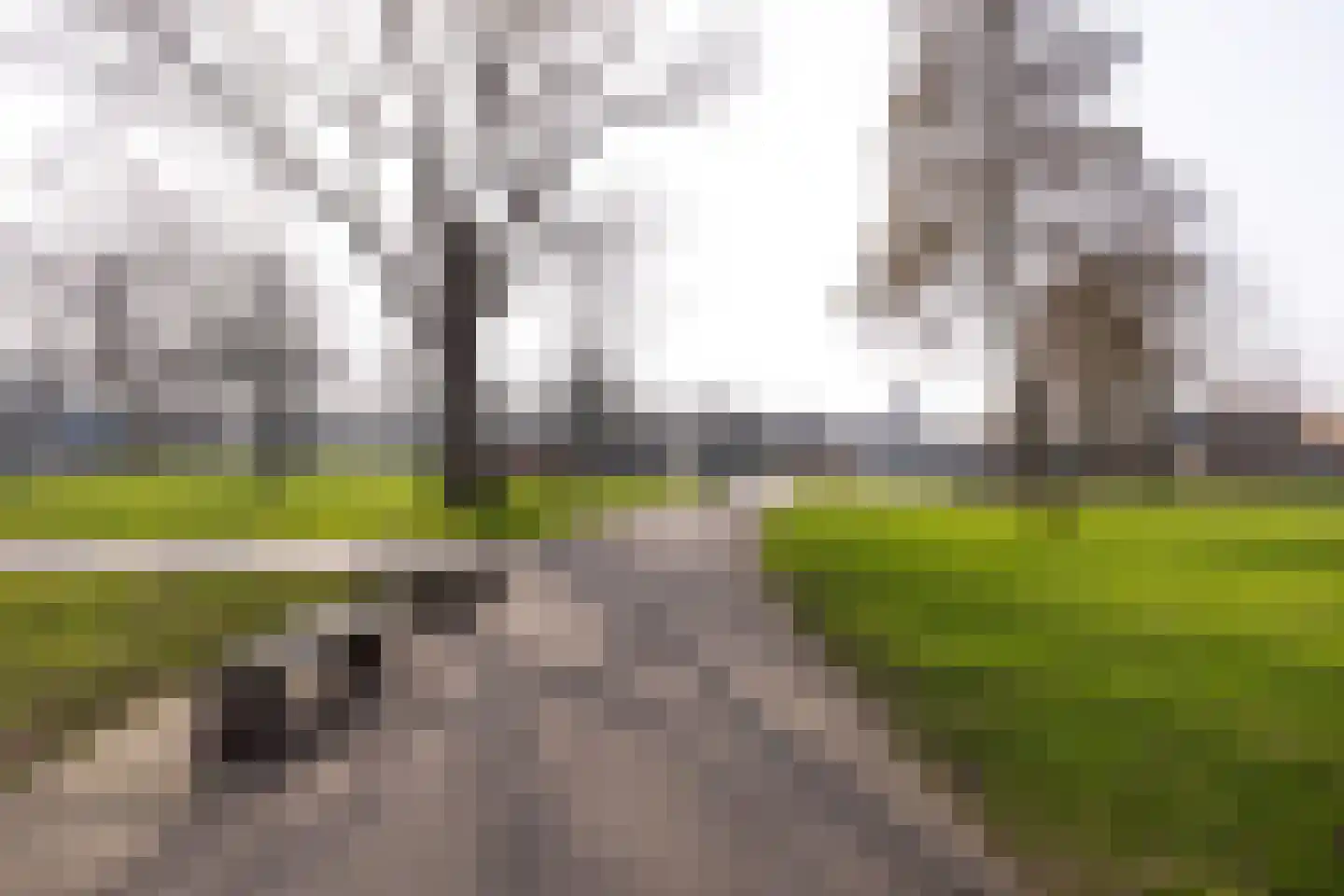 Generaal Cronjéstraat 3 A RD Haarlem thumbnail 27