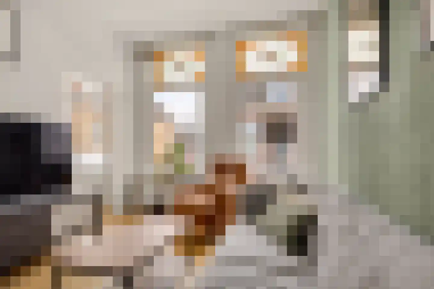 Generaal Cronjéstraat 3 A RD Haarlem thumbnail 4