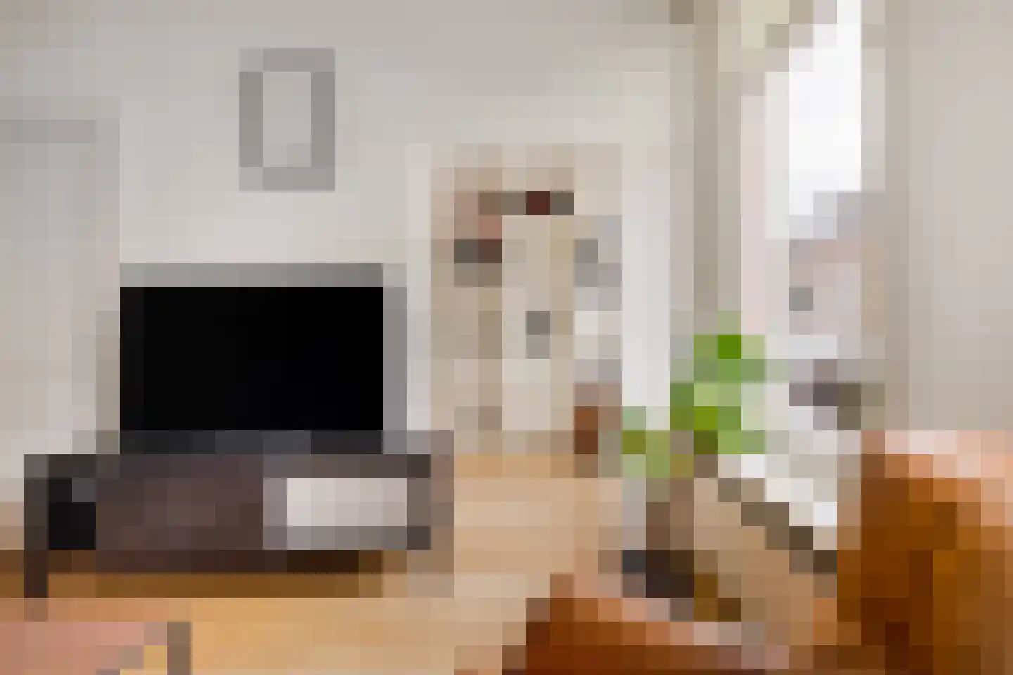 Generaal Cronjéstraat 3 A RD Haarlem thumbnail 5