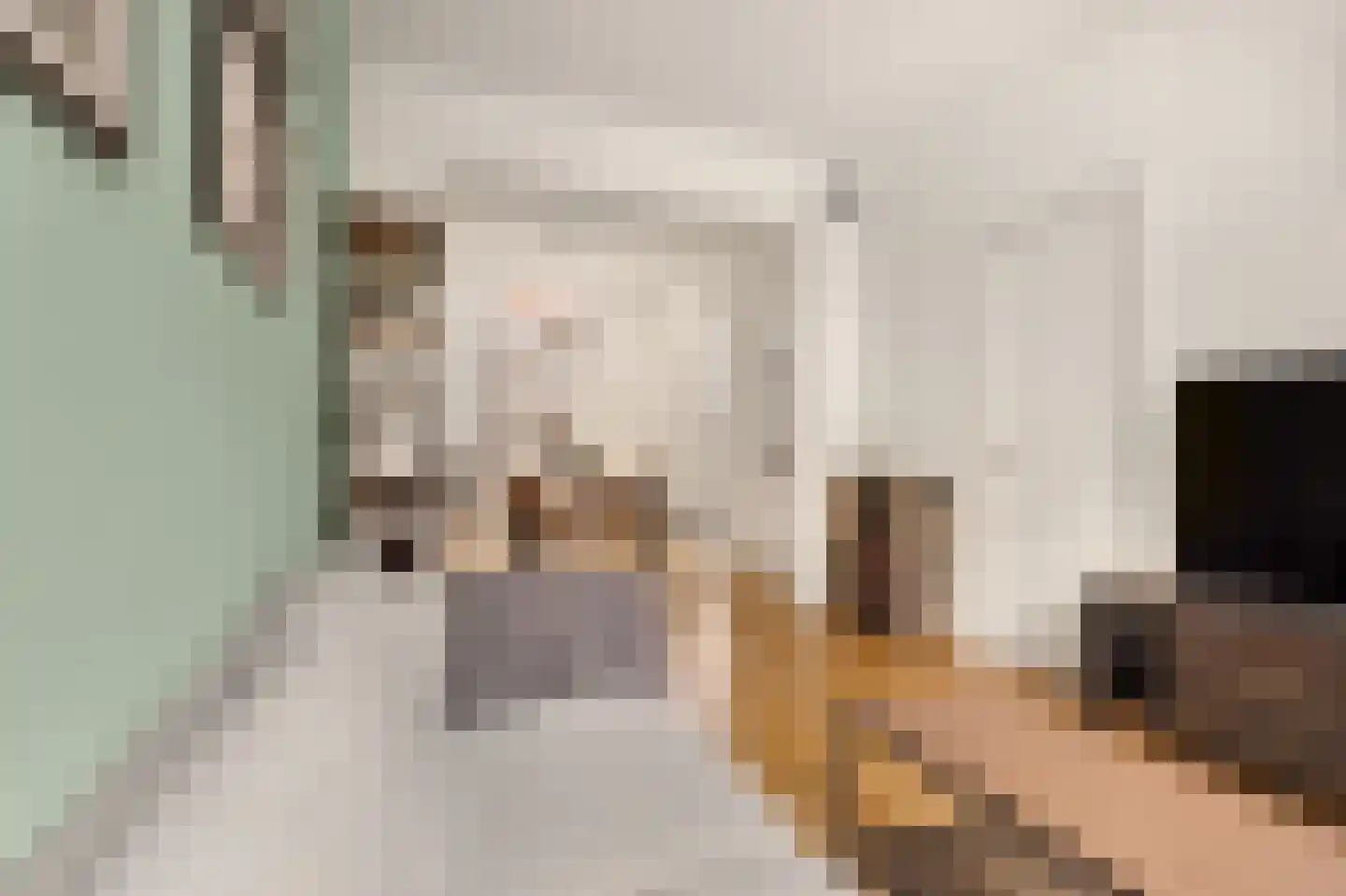 Generaal Cronjéstraat 3 A RD Haarlem thumbnail 7