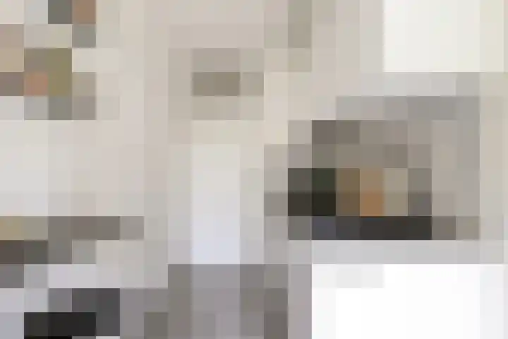 Generaal de Carislaan 4 Eindhoven thumbnail 22