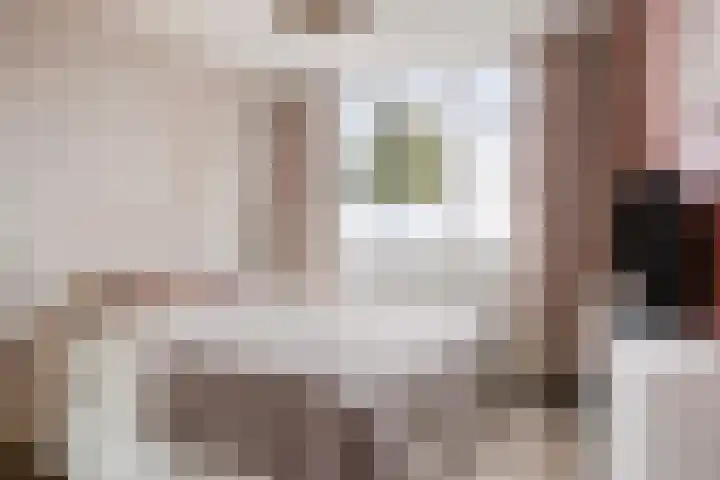 Generaal de Carislaan 4 Eindhoven thumbnail 5
