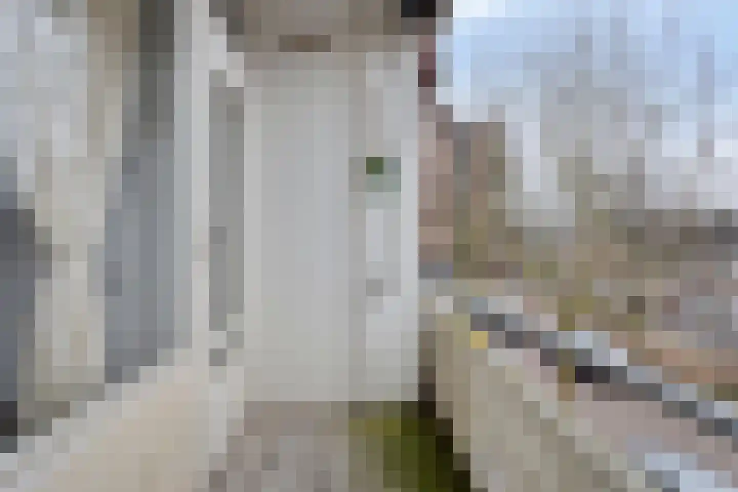 Generaal de Carislaan 42 Eindhoven thumbnail 4