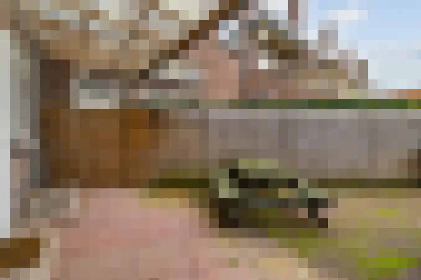 Generaal de la Reijlaan 1 Bussum thumbnail 14
