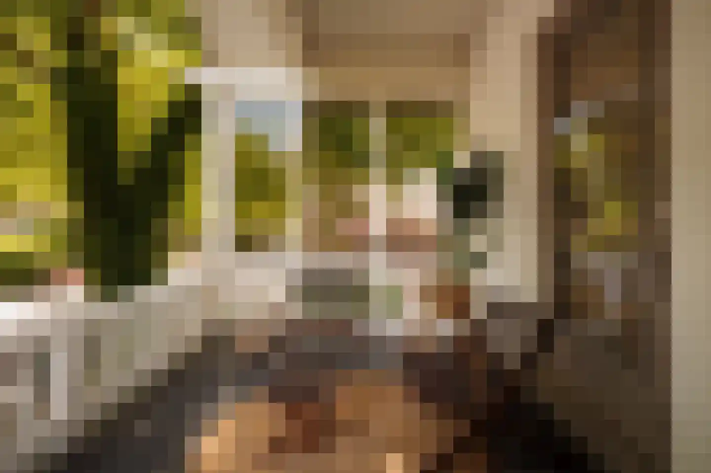 Generaal de la Reijlaan 10 Bussum thumbnail 33