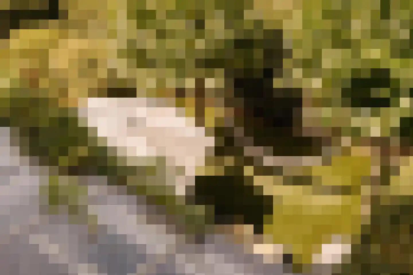 Generaal de la Reijlaan 10 Bussum thumbnail 52