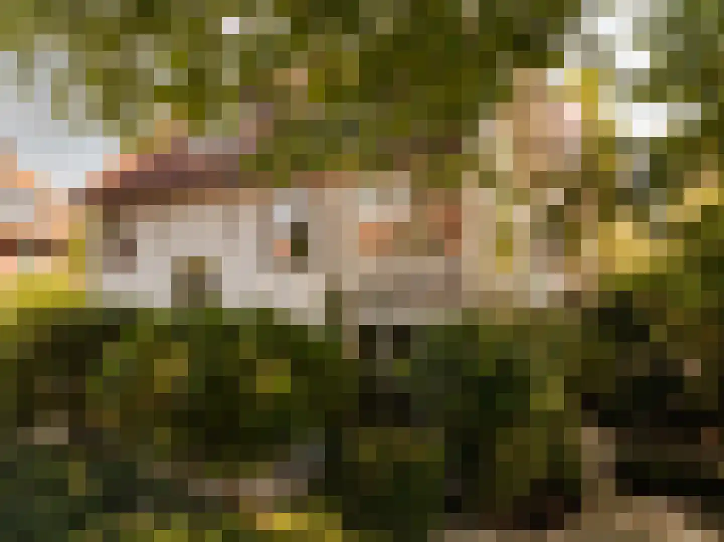 Generaal de la Reijlaan 10 Bussum thumbnail 52