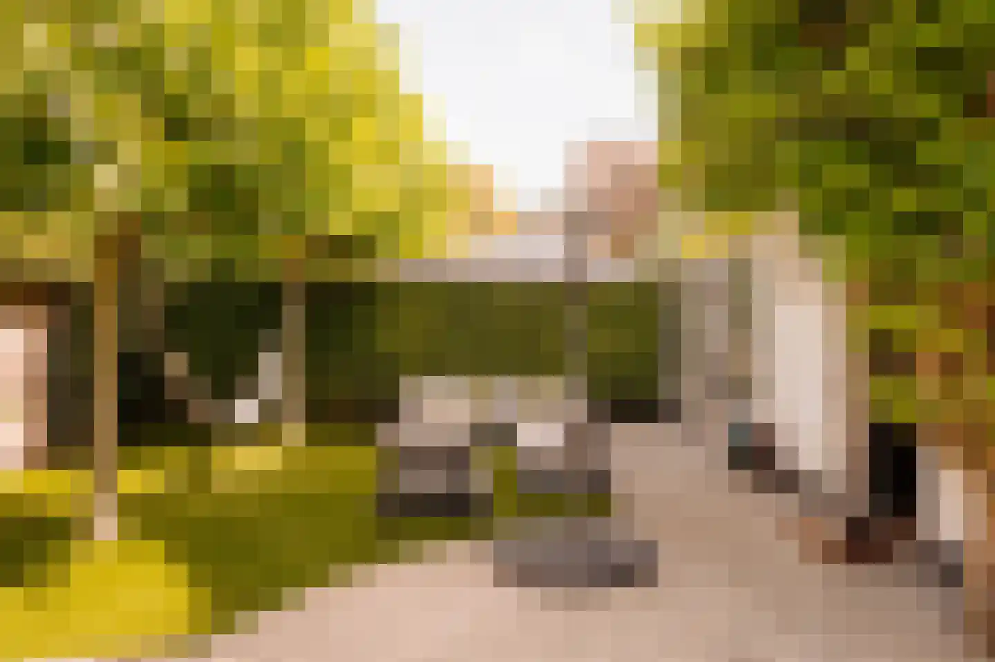 Generaal de la Reijlaan 10 Bussum thumbnail 57