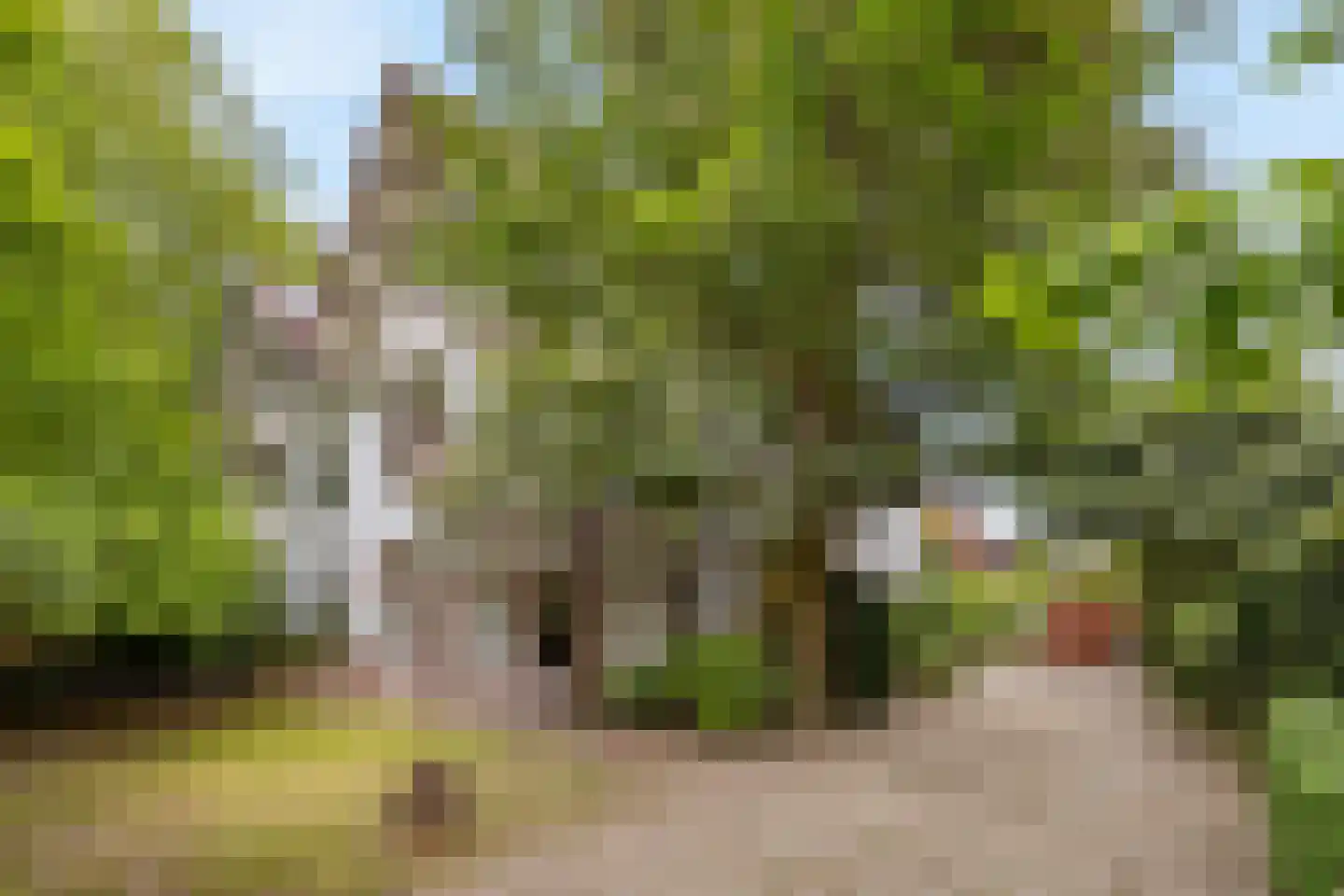 Generaal de la Reijlaan 8 Bussum