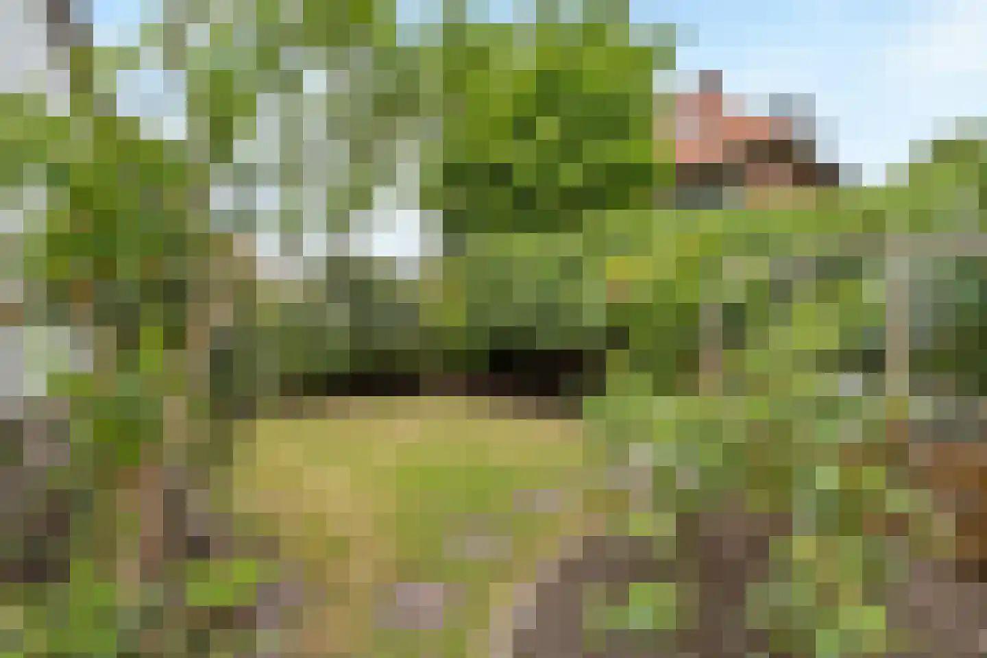 Generaal de la Reijlaan 8 Bussum thumbnail 53