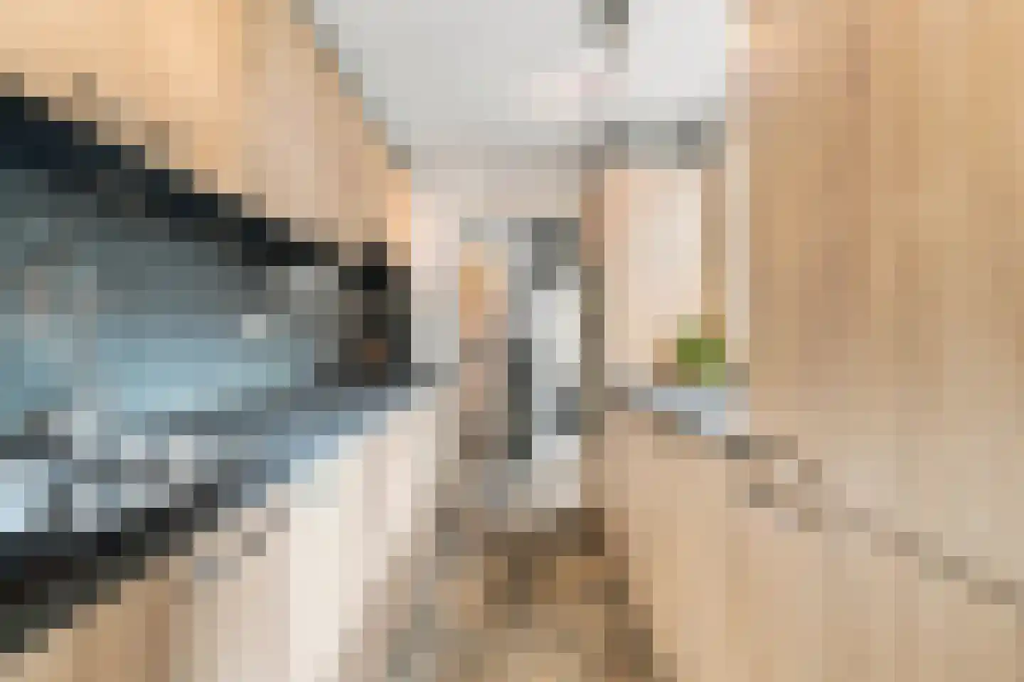 Generaal De la Reijstraat 14 Haarlem thumbnail 31