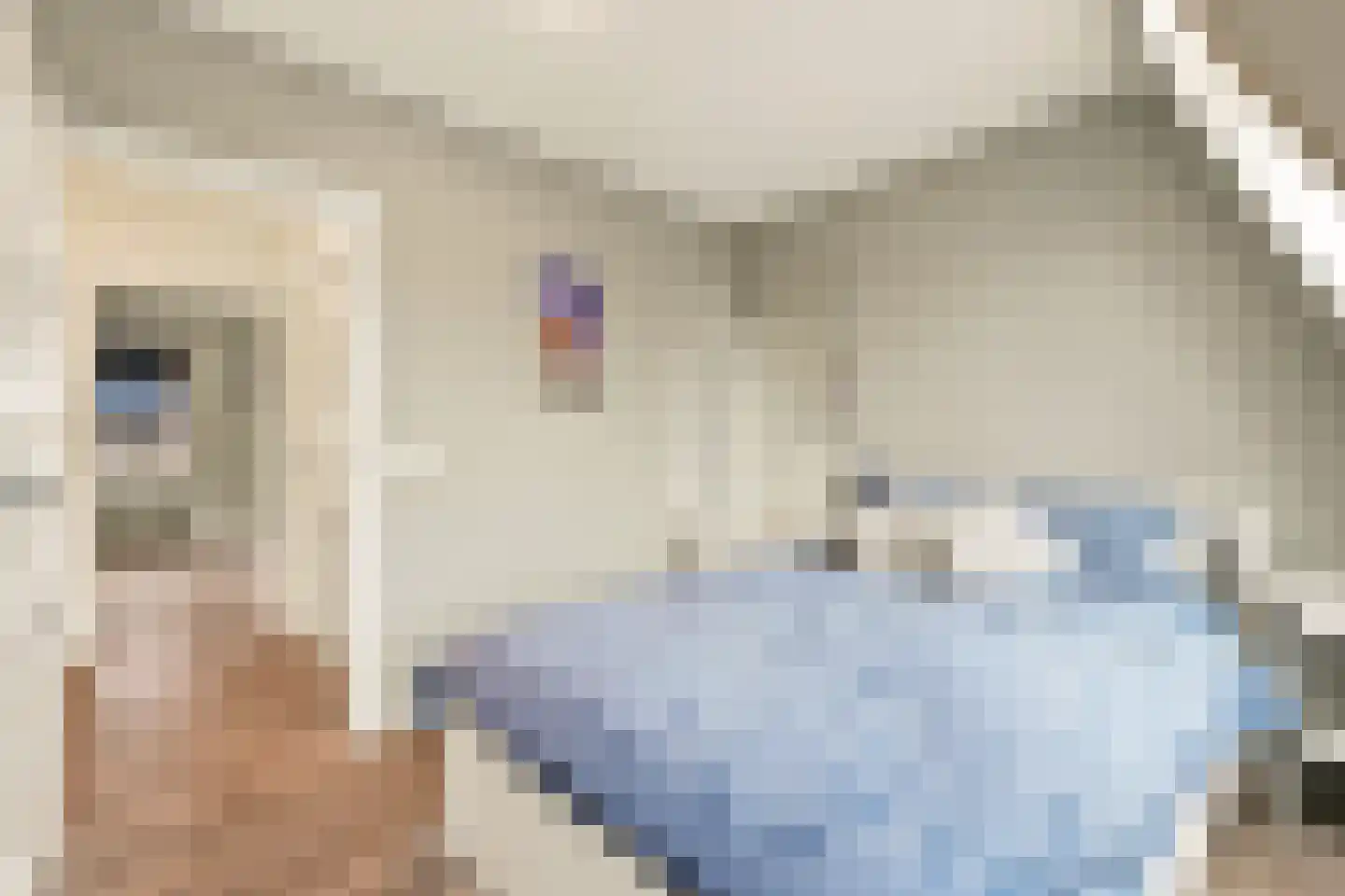 Generaal De la Reijstraat 14 Haarlem thumbnail 37