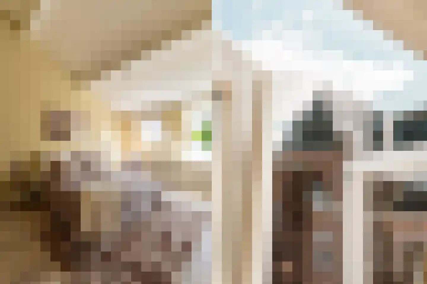 Generaal De la Reijstraat 21 A Haarlem thumbnail 28