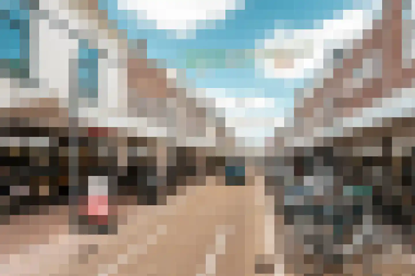 Generaal De la Reijstraat 21 A Haarlem thumbnail 35