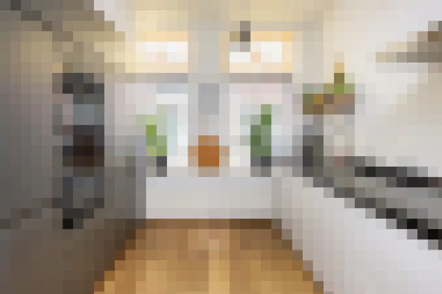 Generaal De la Reijstraat 24 Haarlem thumbnail 19