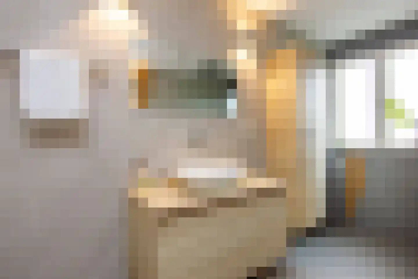 Generaal De la Reijstraat 24 Haarlem thumbnail 30