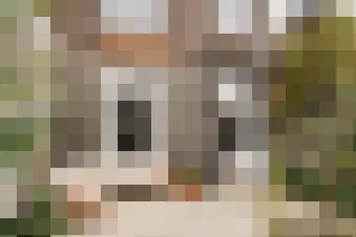 Generaal De la Reijstraat 33 ZW Haarlem thumbnail 33