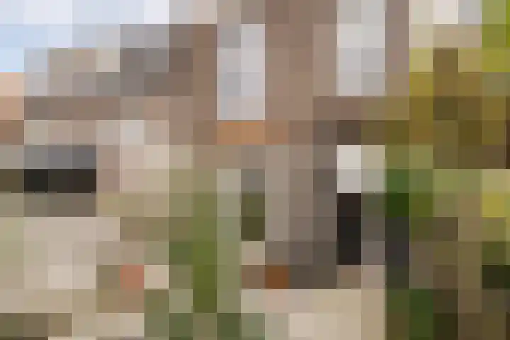 Generaal De la Reijstraat 33 ZW Haarlem thumbnail 34