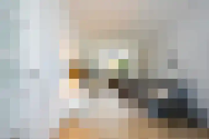 Generaal De la Reijstraat 58 Haarlem thumbnail 11