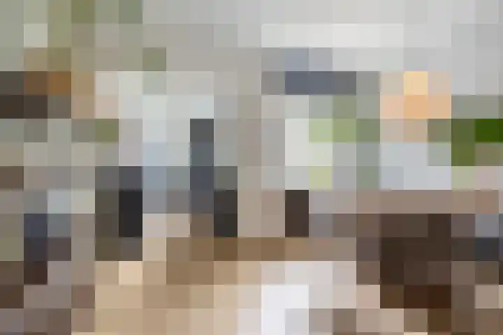 Generaal De la Reijstraat 58 Haarlem thumbnail 17