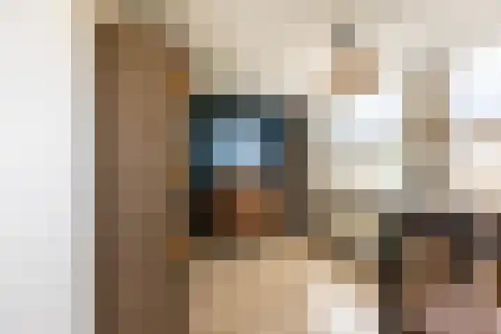 Generaal De la Reijstraat 58 Haarlem thumbnail 31