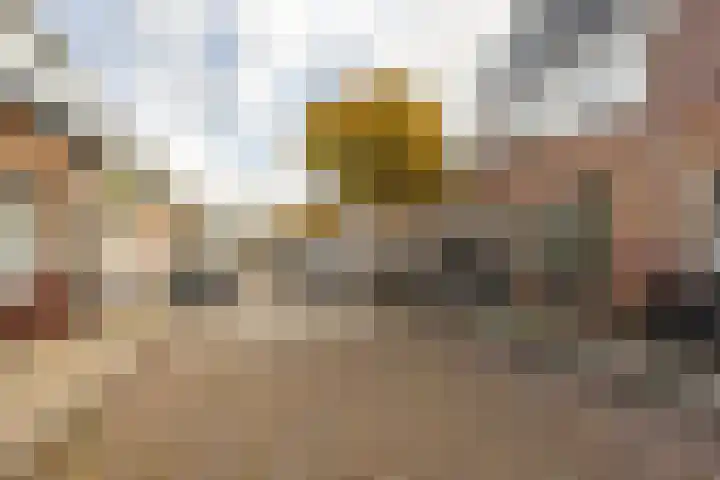Generaal De la Reijstraat 58 Haarlem thumbnail 7