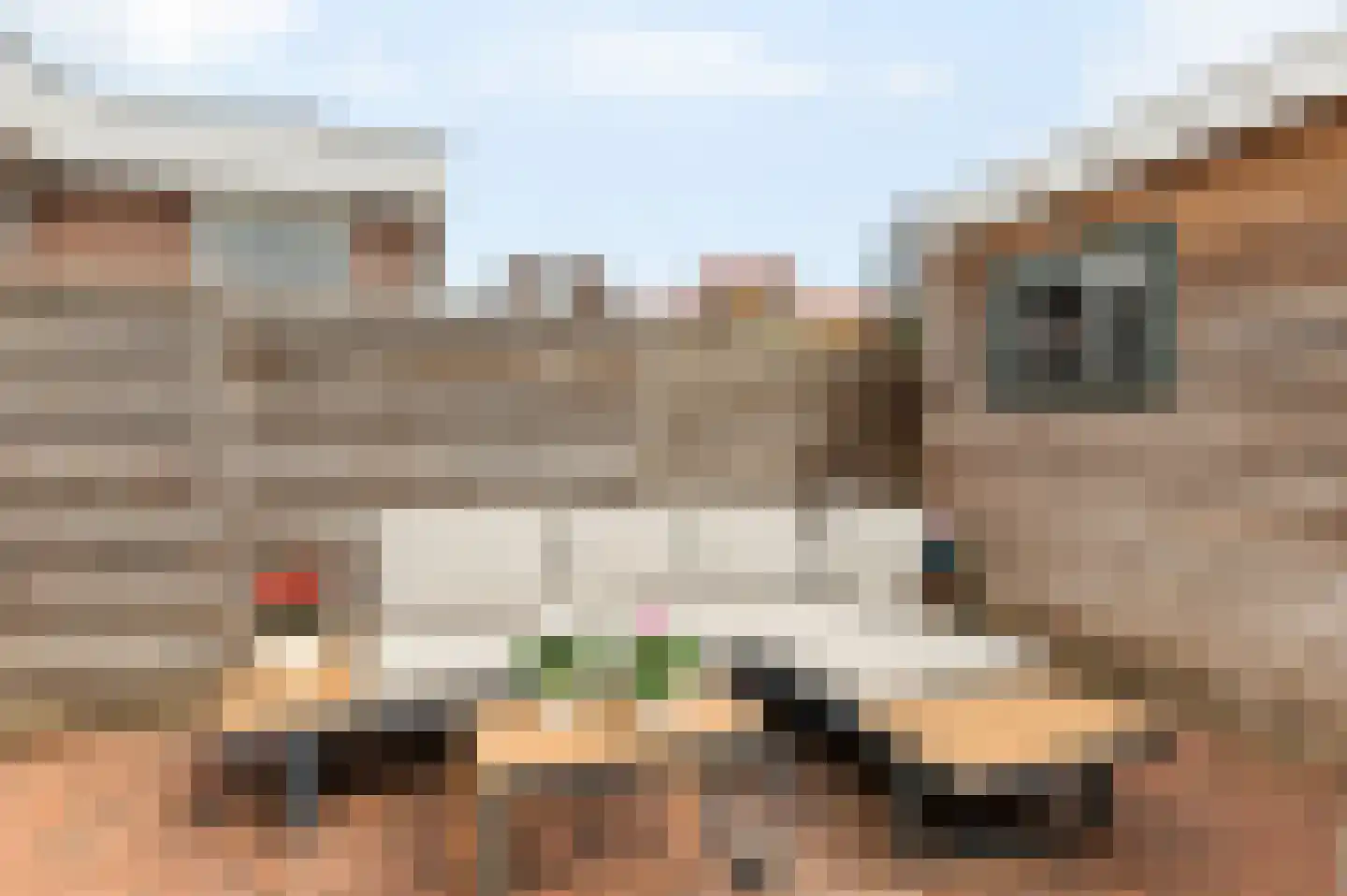 Generaal De la Reijstraat 60 Haarlem thumbnail 15