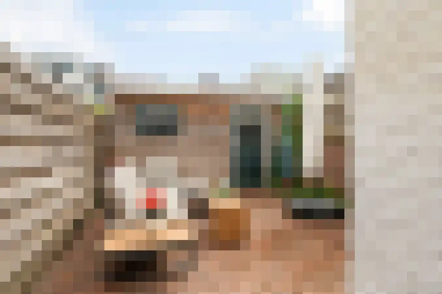 Generaal De la Reijstraat 60 Haarlem thumbnail 4