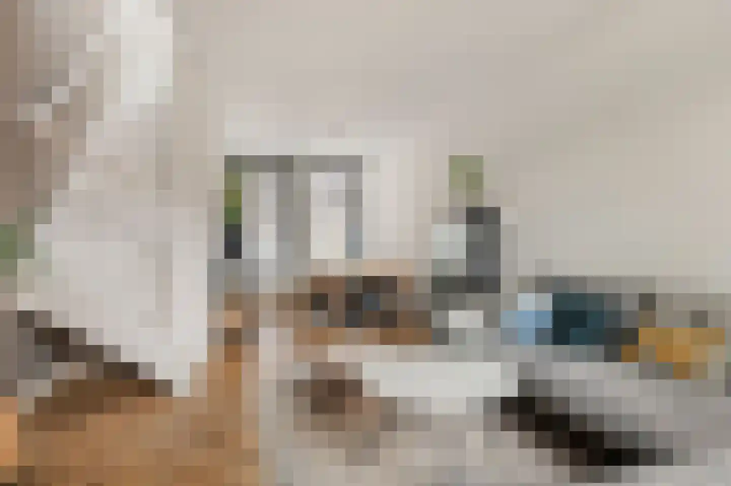 Generaal De la Reijstraat 60 Haarlem thumbnail 8