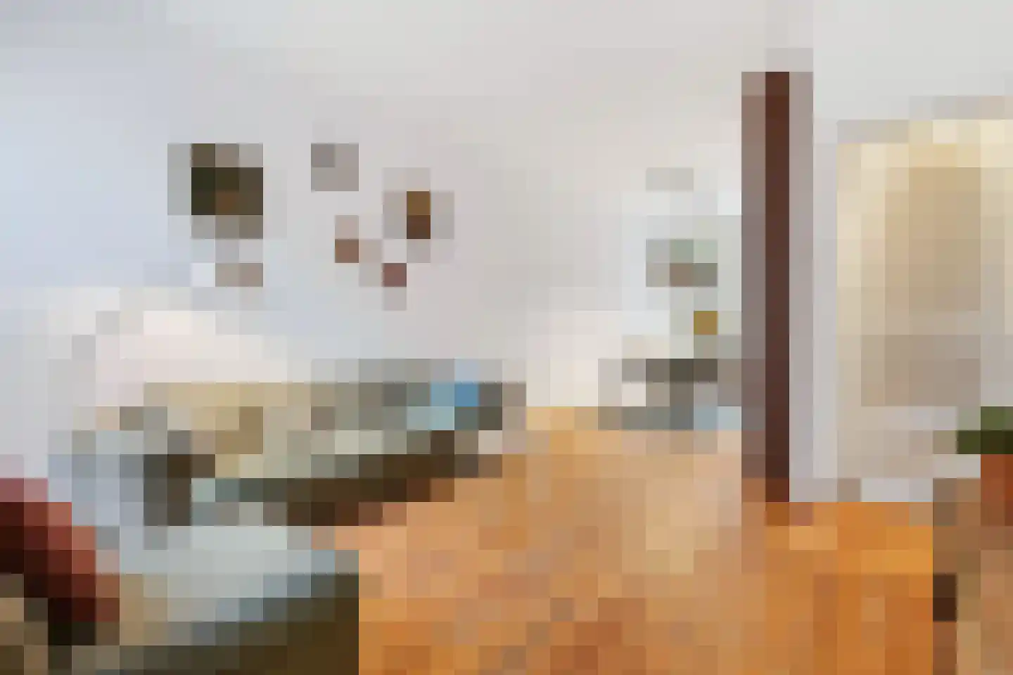 Generaal De la Reijstraat 66 Haarlem thumbnail 13