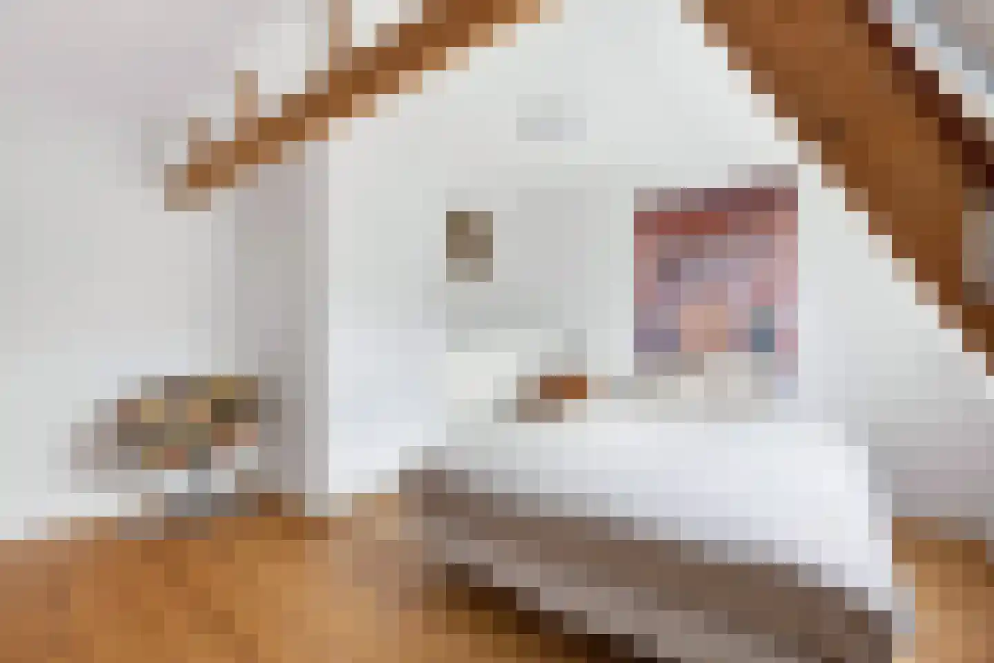 Generaal De la Reijstraat 66 Haarlem thumbnail 4