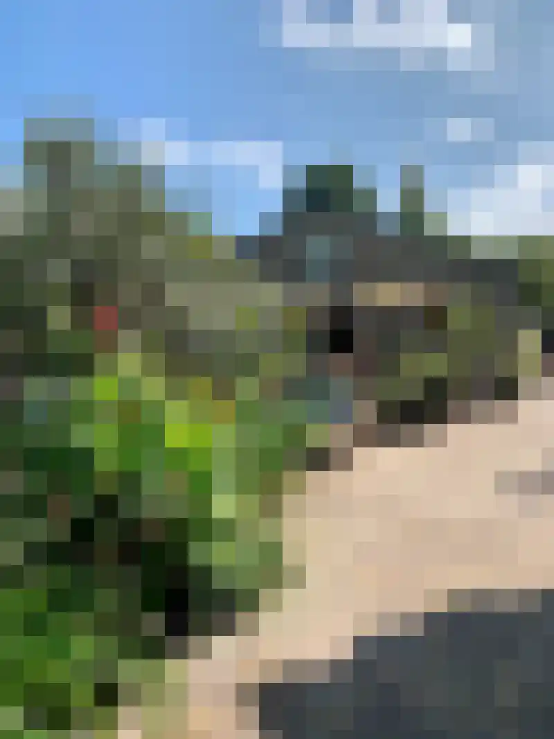 Generaal De la Reijstraat 66 Haarlem thumbnail 41