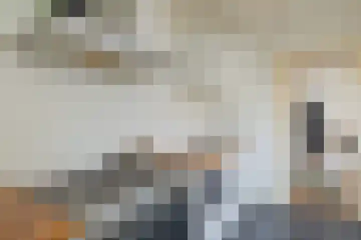 Generaal De la Reijstraat 68 Haarlem thumbnail 6