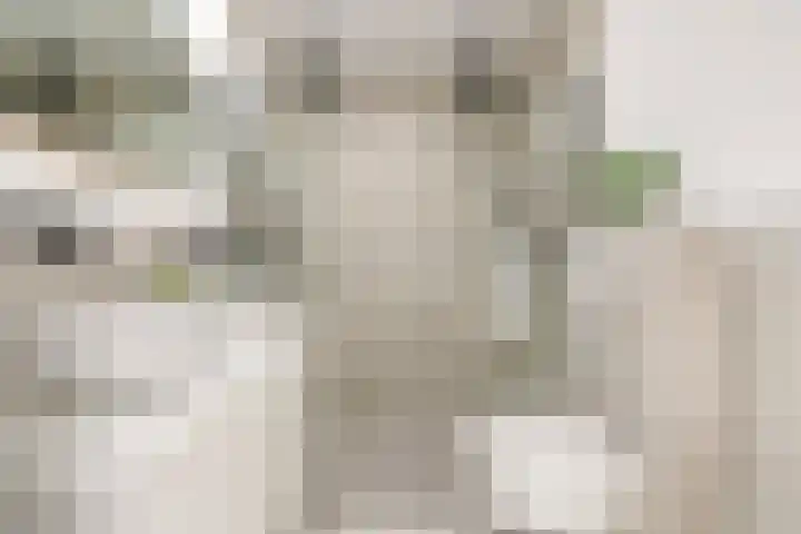 Generaal De la Reijstraat 78 Haarlem thumbnail 48