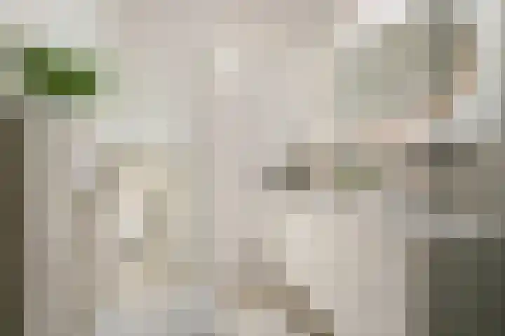 Generaal De la Reijstraat 78 Haarlem thumbnail 51