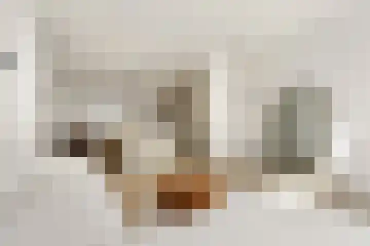 Generaal De la Reijstraat 78 Haarlem thumbnail 7