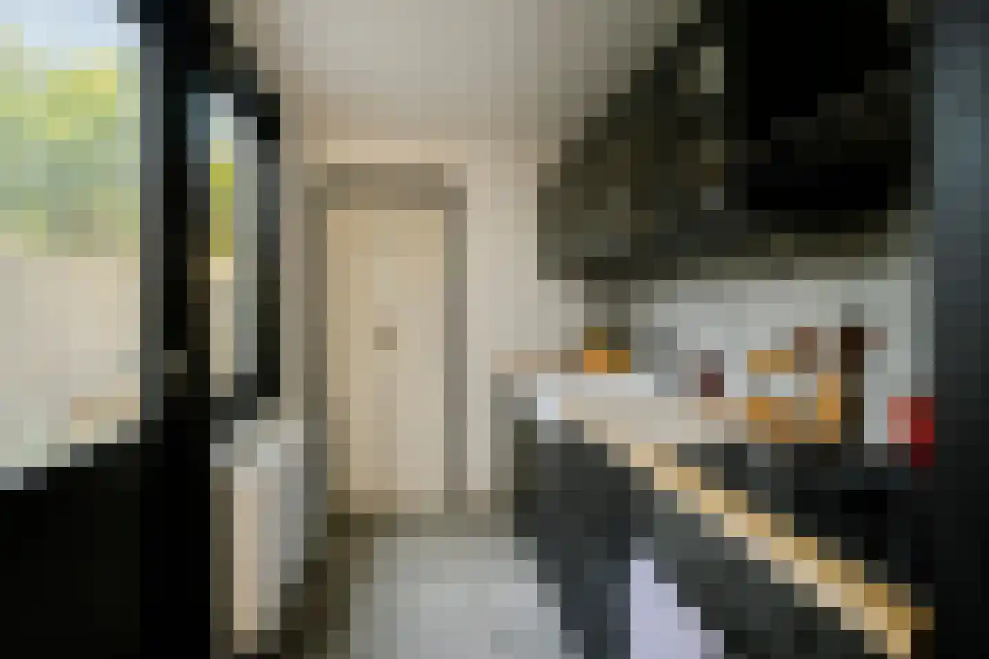 Generaal De la Reijstraat 95 Haarlem thumbnail 20