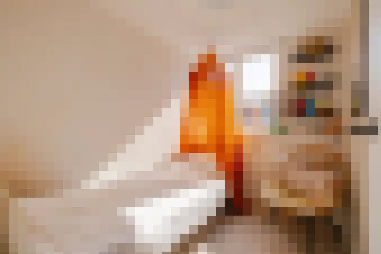 Generaal De la Reijstraat 95 Haarlem thumbnail 32