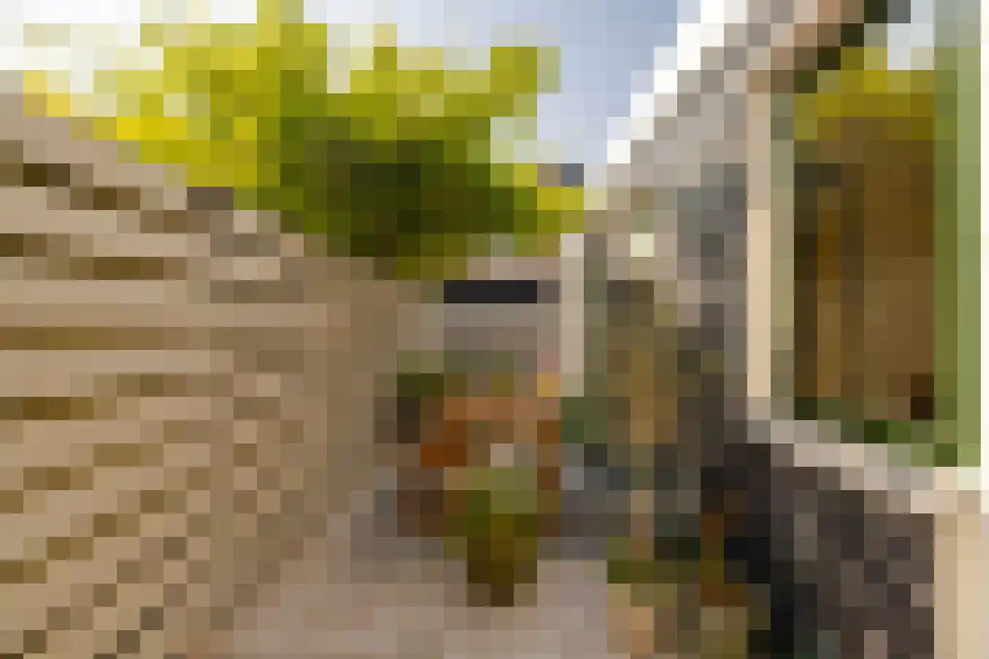 Generaal De la Reijstraat 95 Haarlem thumbnail 37