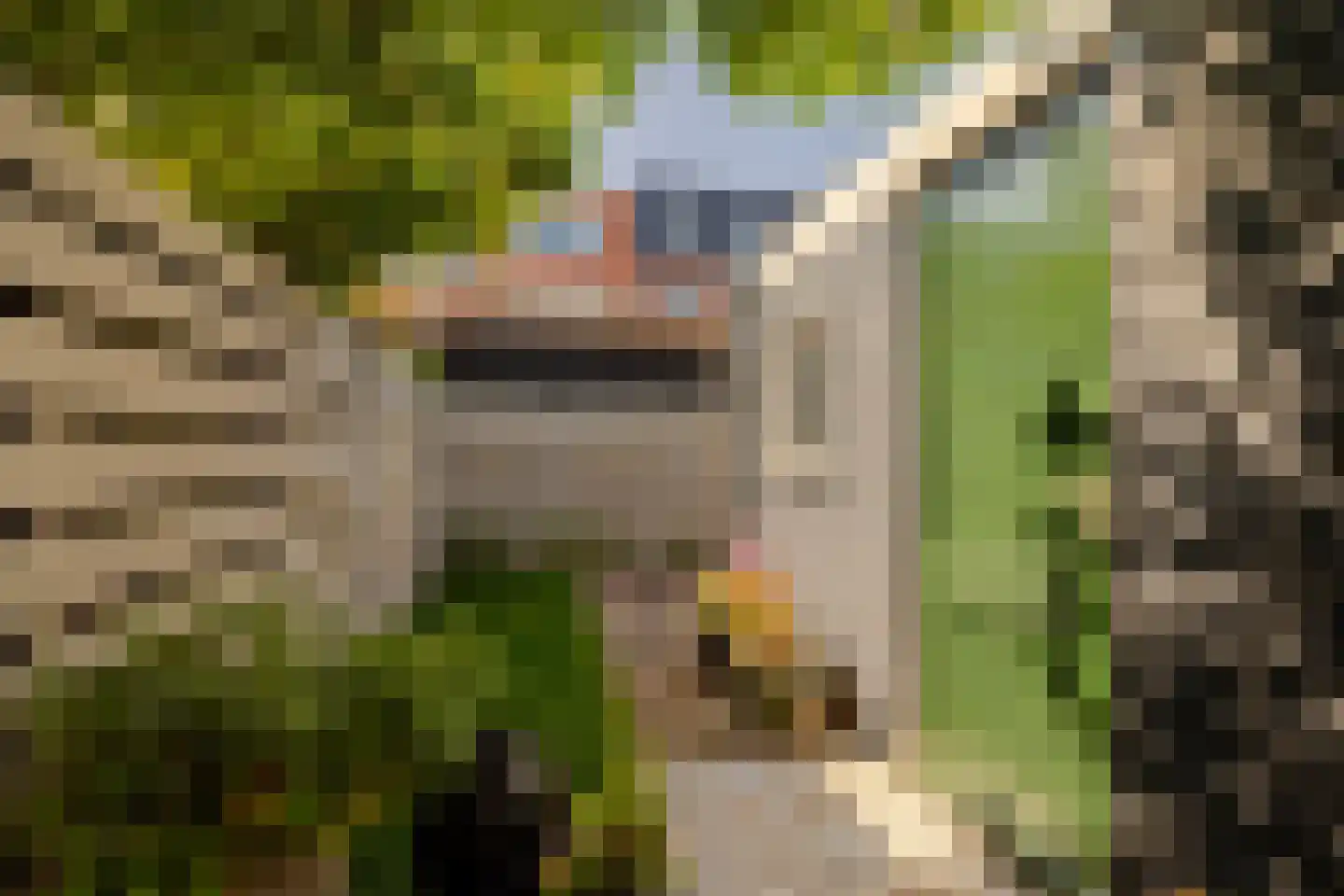 Generaal De la Reijstraat 95 Haarlem thumbnail 38