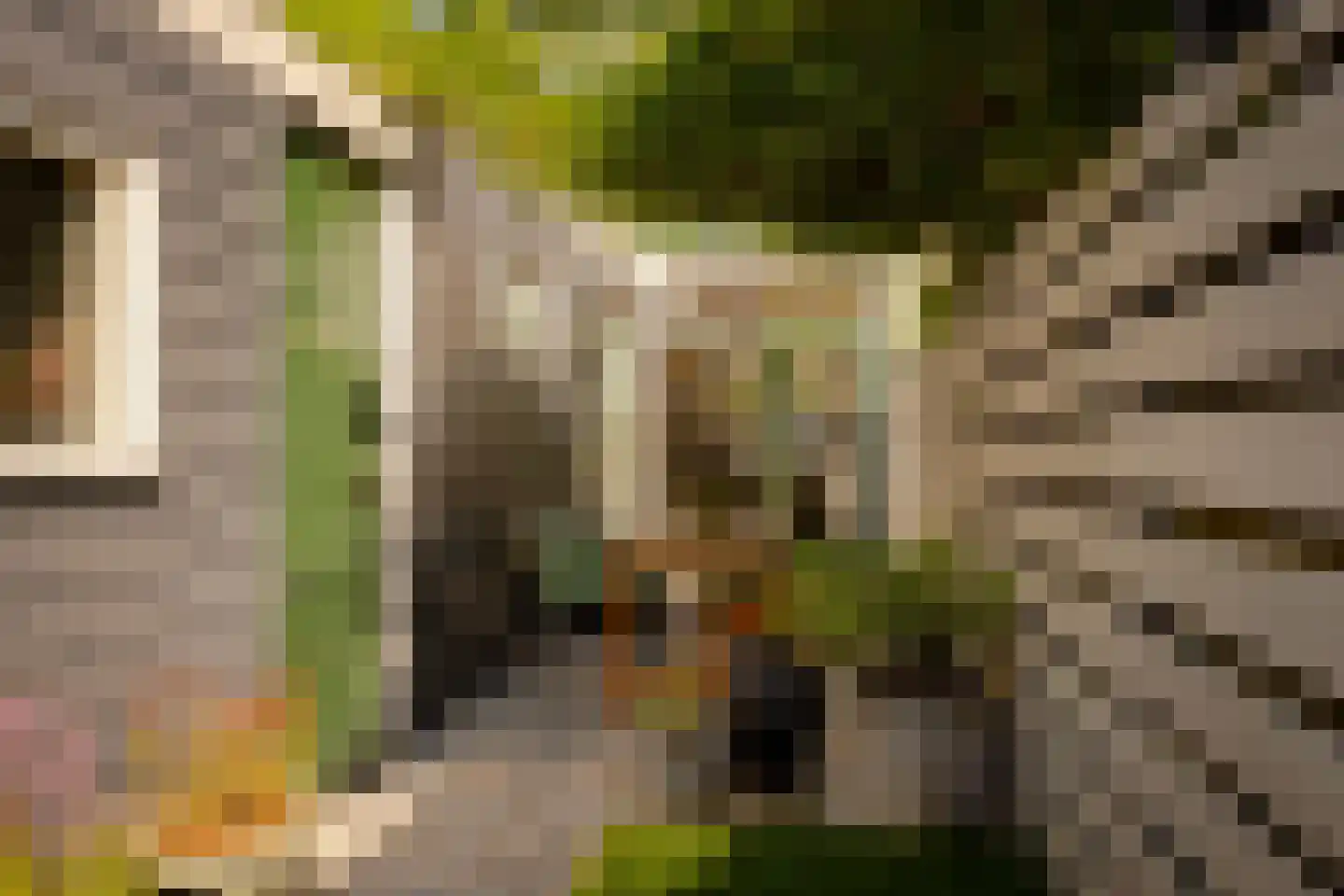 Generaal De la Reijstraat 95 Haarlem thumbnail 39