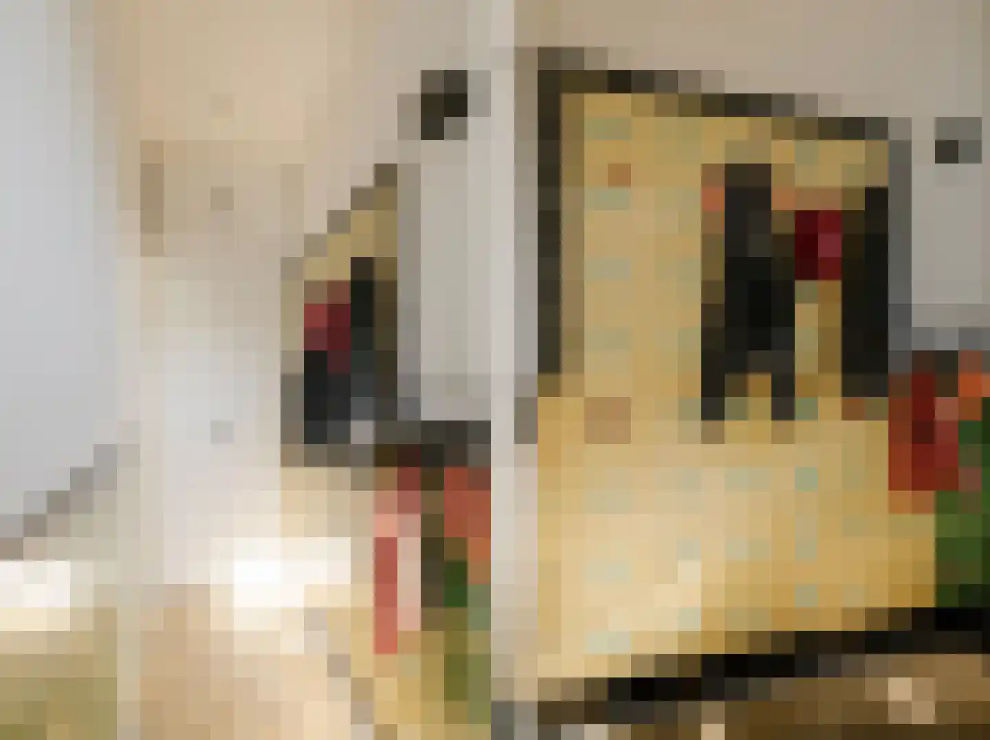 Generaal De la Reijstraat 95 Haarlem thumbnail 7
